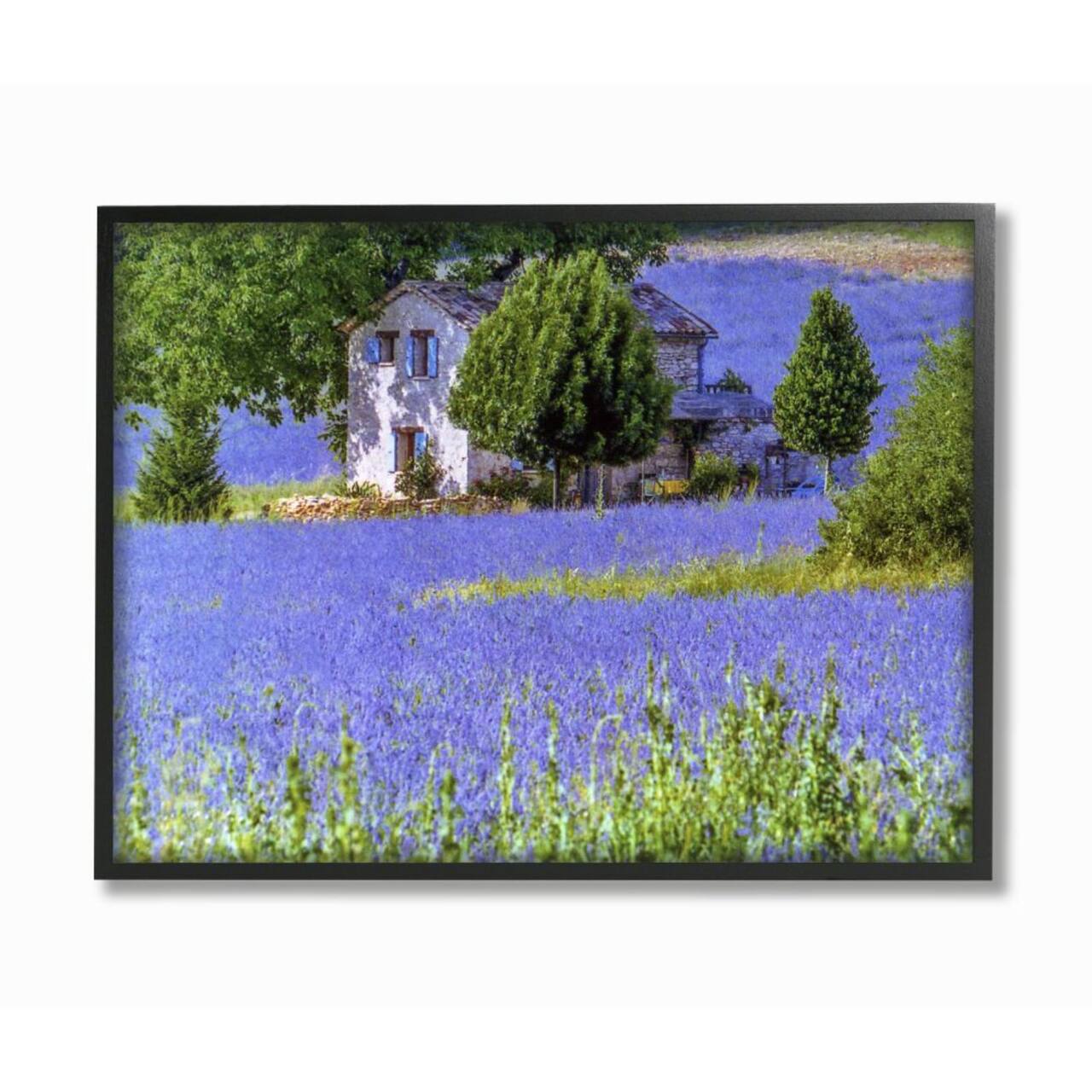 Stupell Industries Lavender Field House Landscape with Black Frame Wall Accent